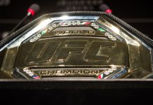 DraftKings has extended its partnership with the UFC to include its gamified digital collectibles franchise focused on the MMA promotion.
